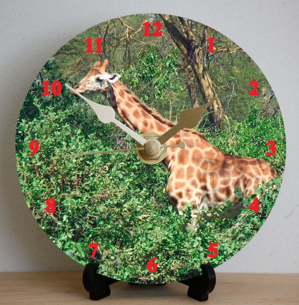 Giraffe