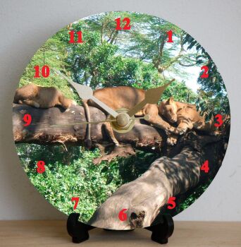 Lions