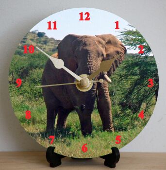 Elephant
