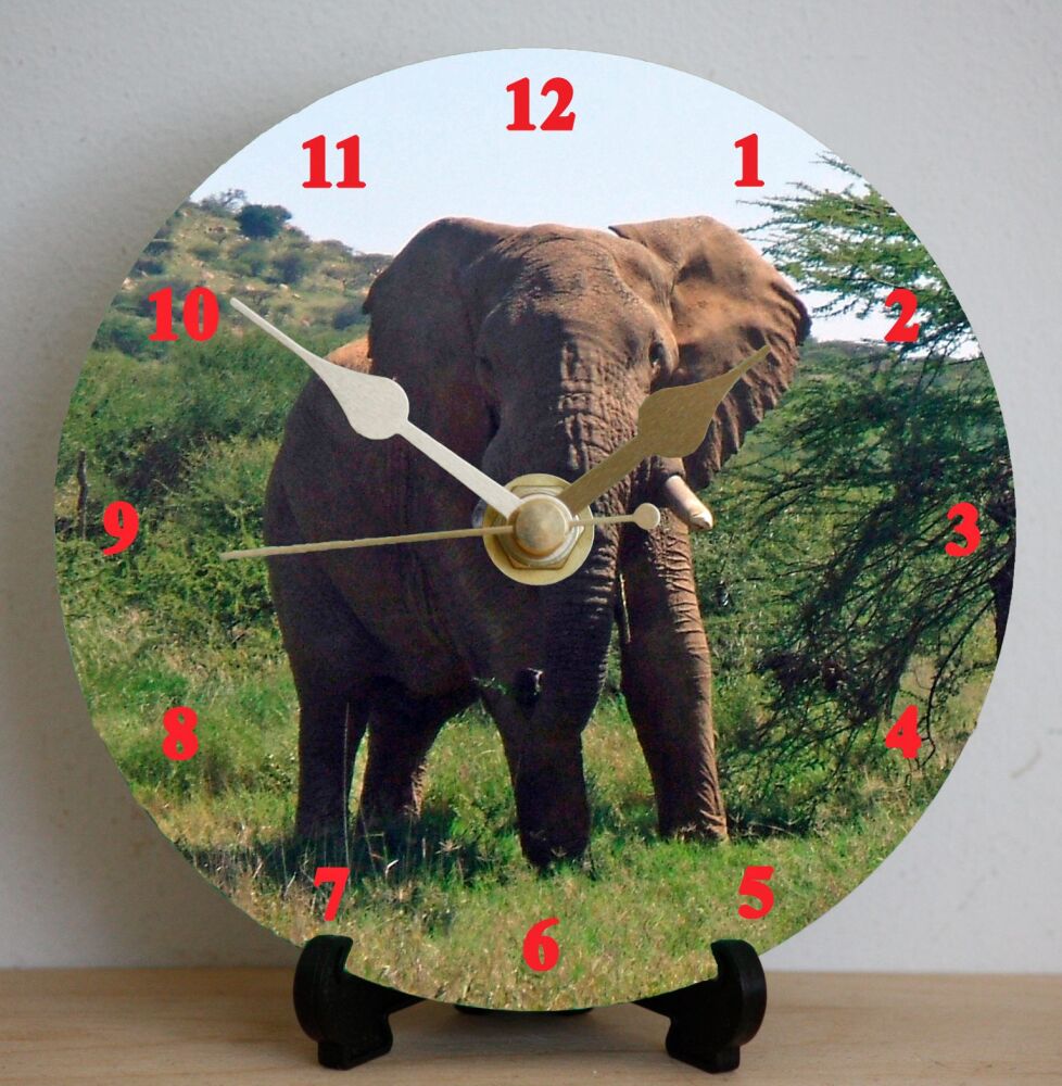 Elephant