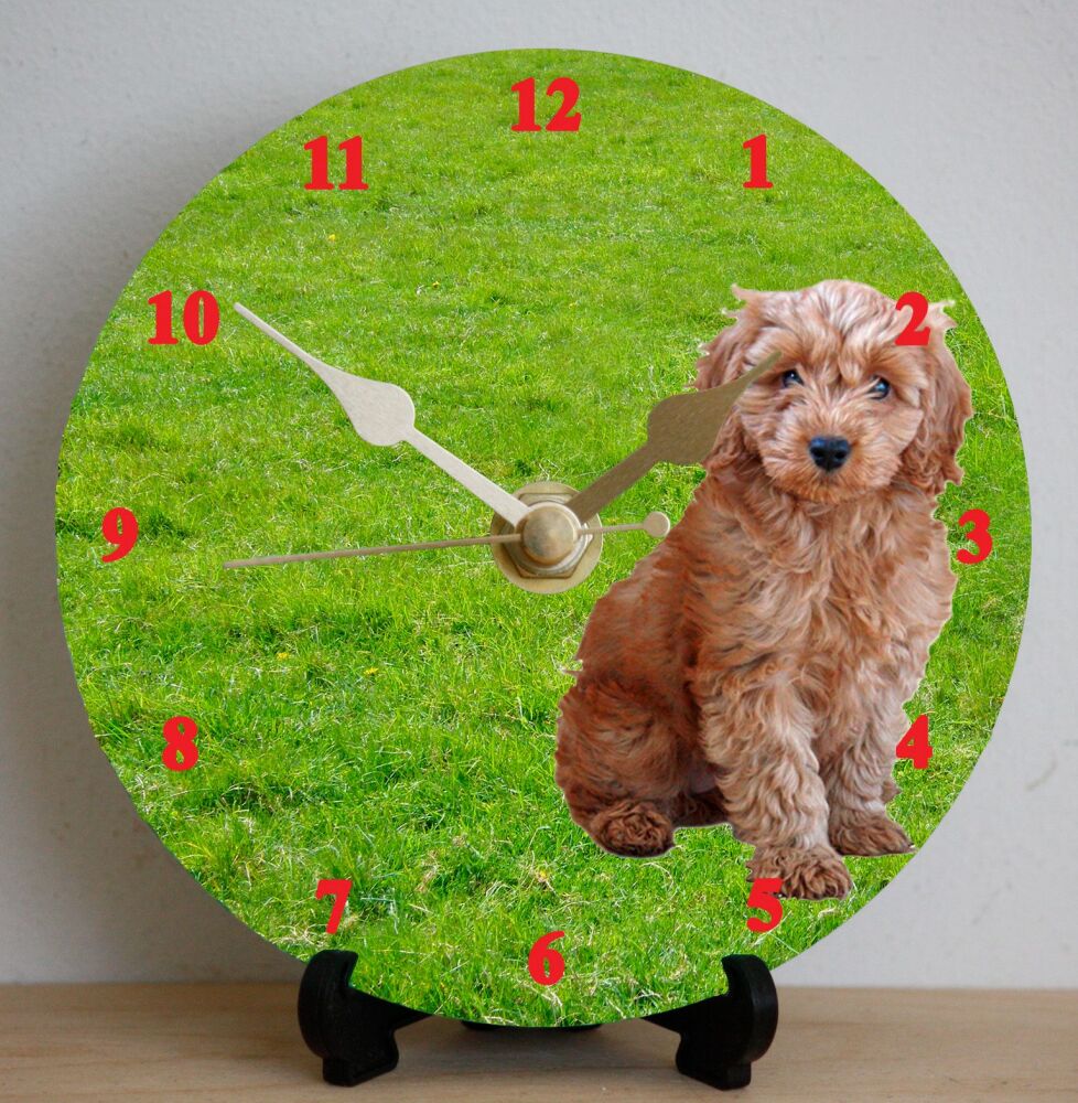 Cockapoo (Red)