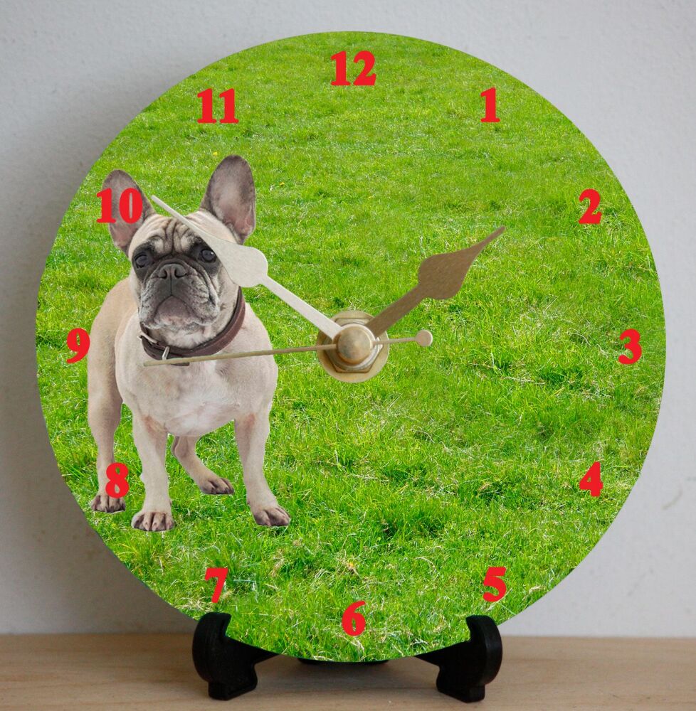 French Bulldog