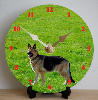 German Shepherd