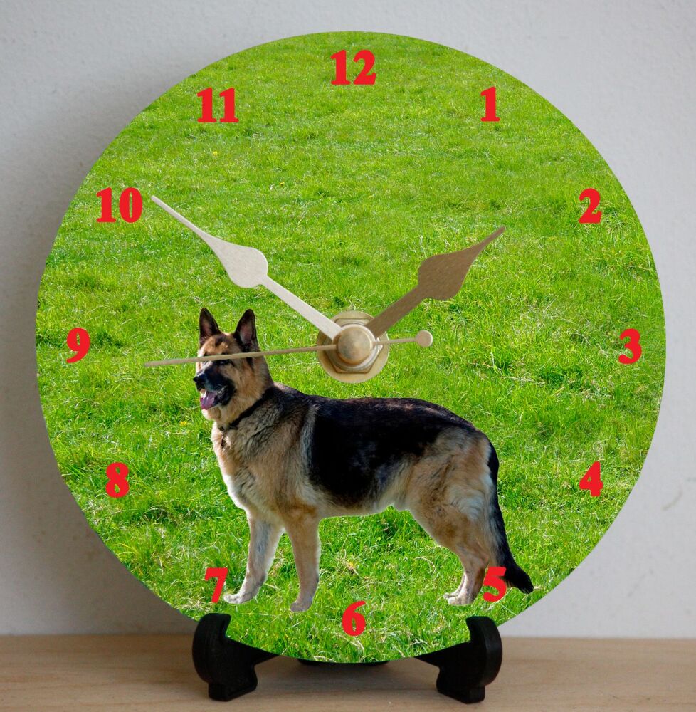 German Shepherd