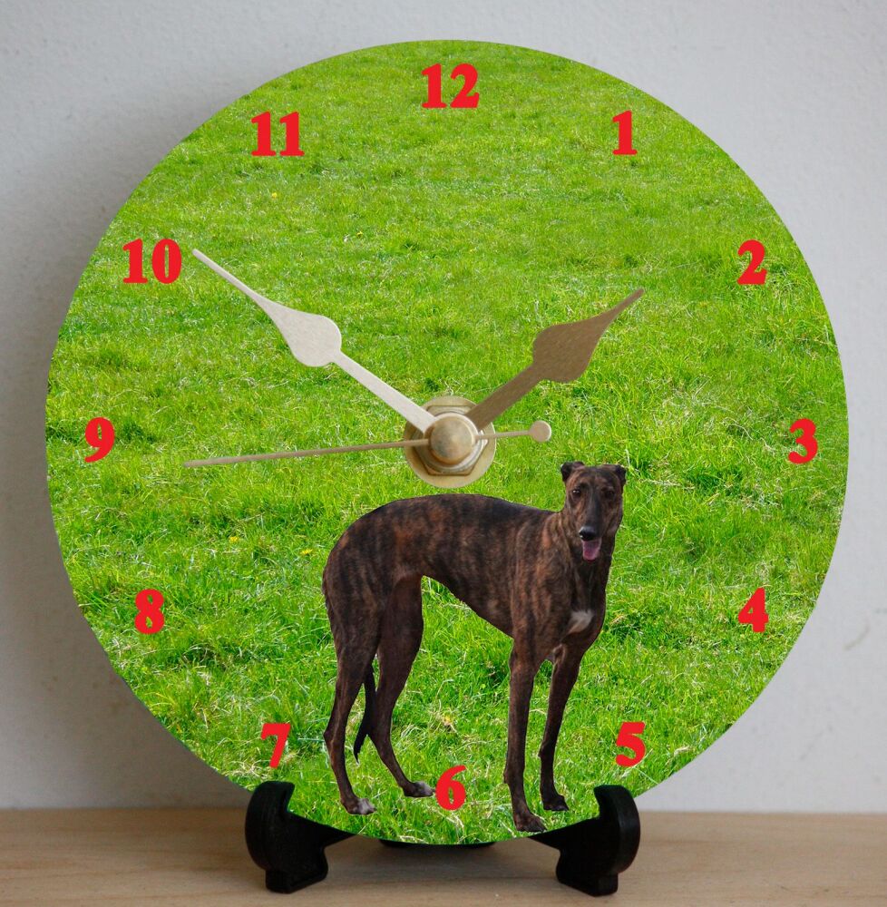 Greyhound