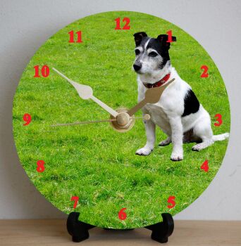 Jack Russell