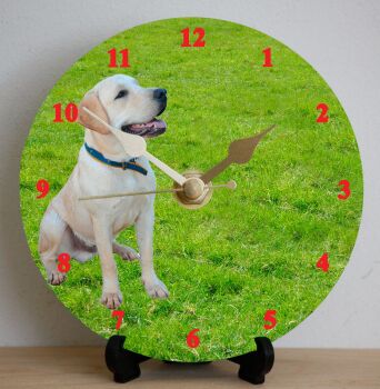 Labrador