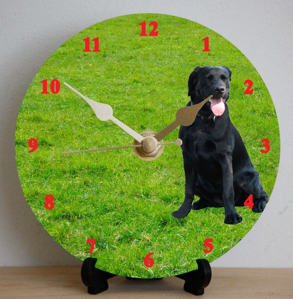 Labrador (Black)
