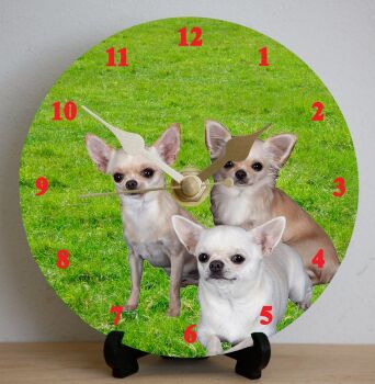 Chihuahua