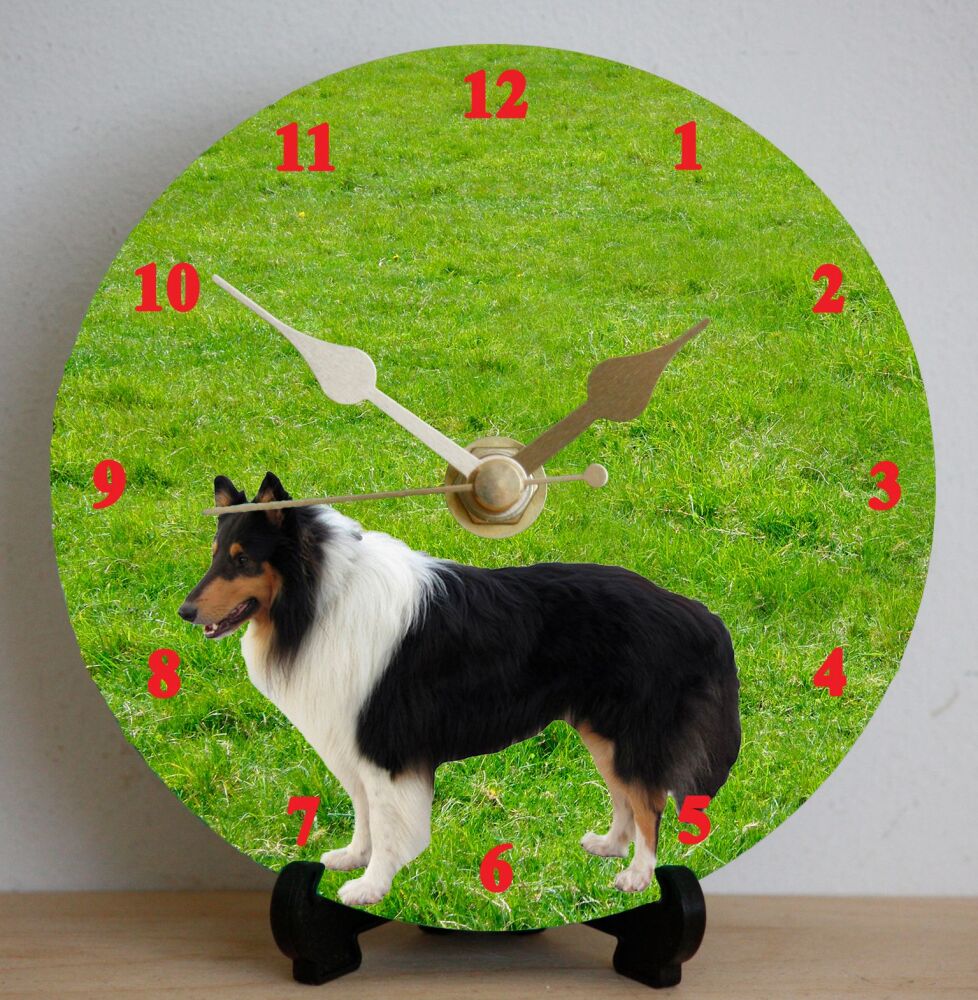 Collie