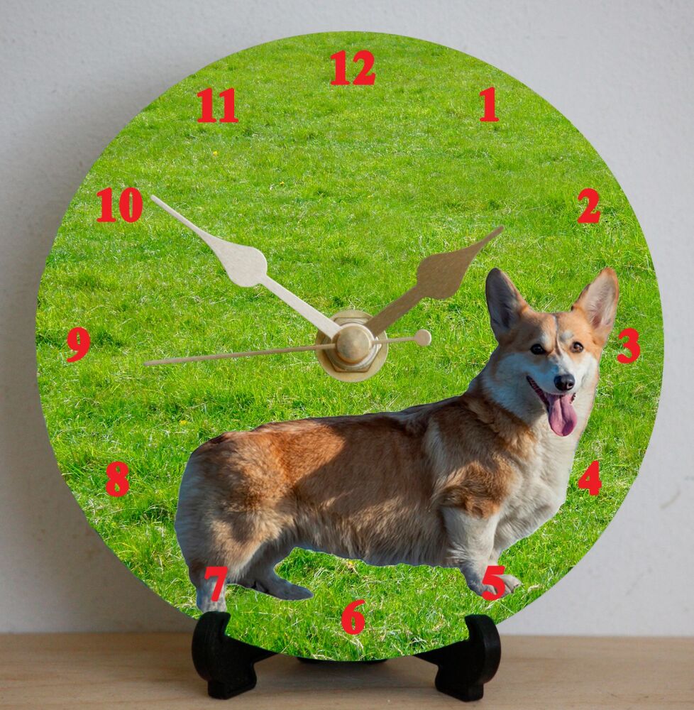 Corgi