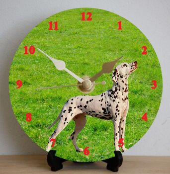 Dalmatian