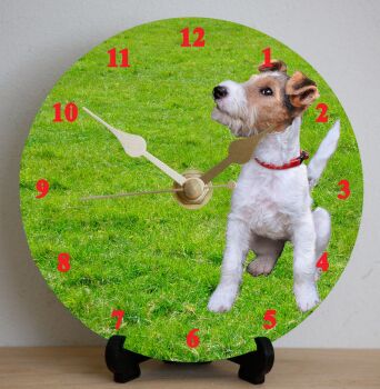 Fox Terrier