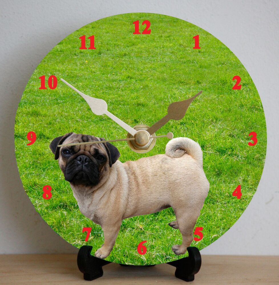 Pug