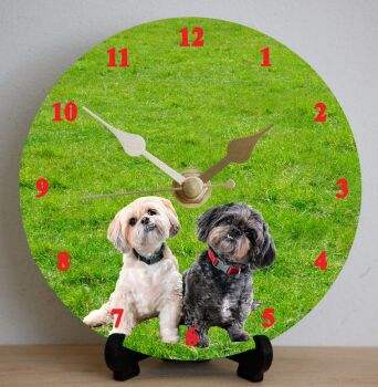 Shi Tzu