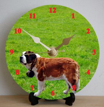 St Bernard