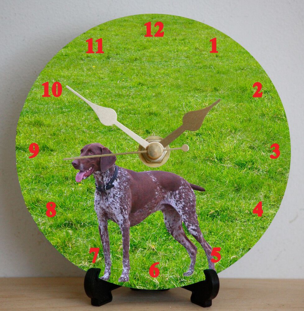 Weimaraner