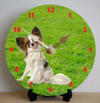 Papillon