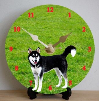 Siberian Husky