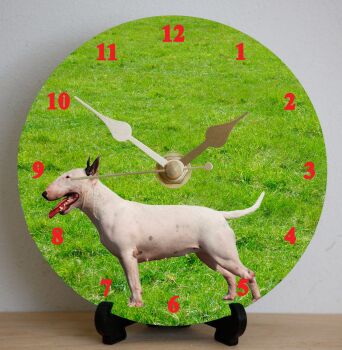 Bull Terrier