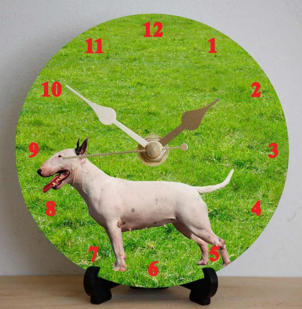 Bull Terrier