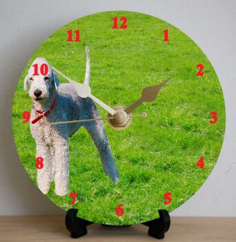 Bedlington Terrier
