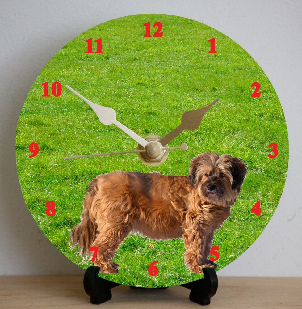 Tibetan Terrier