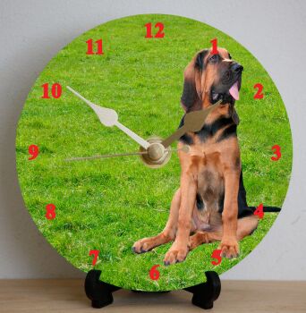 Bloodhound