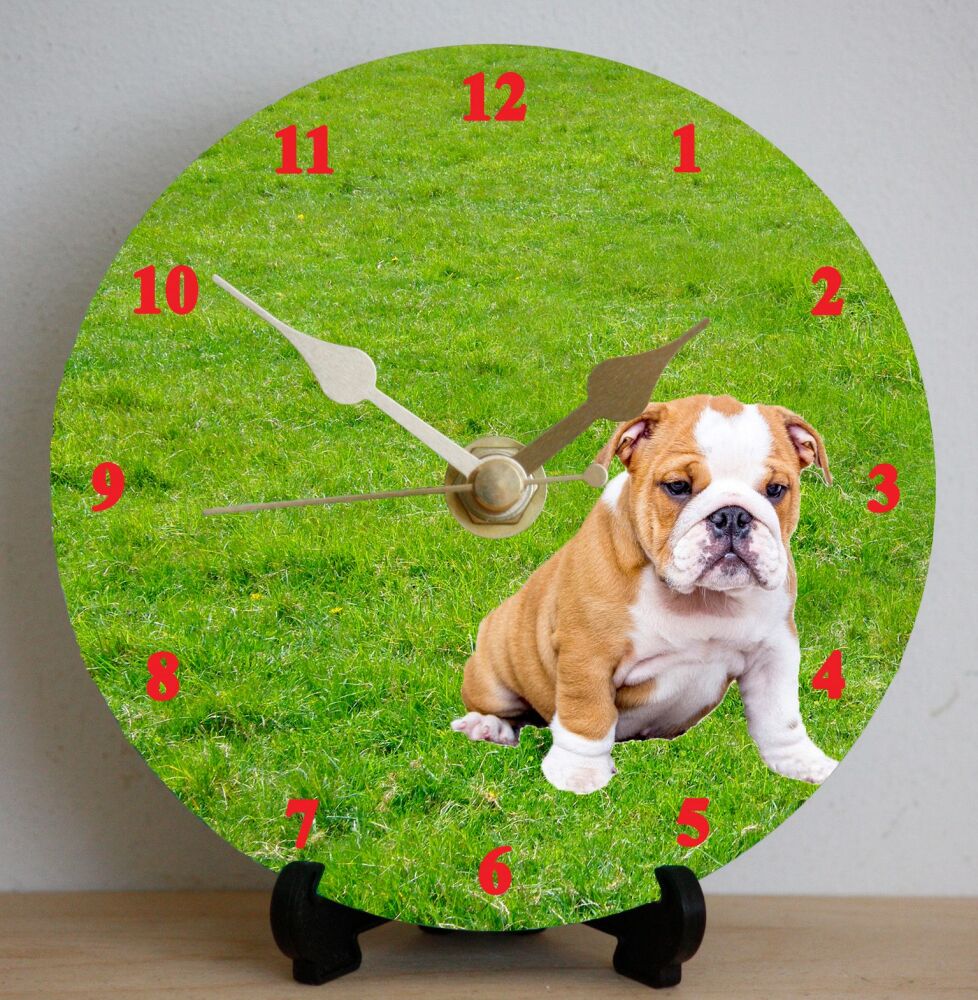 Bulldog