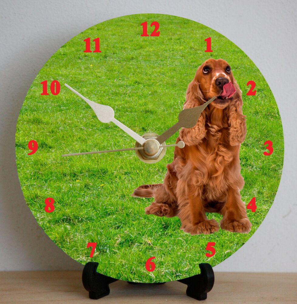 Cocker Spaniel