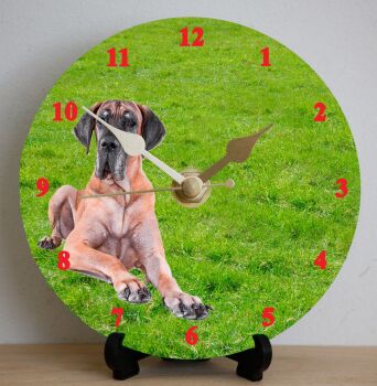 Great Dane