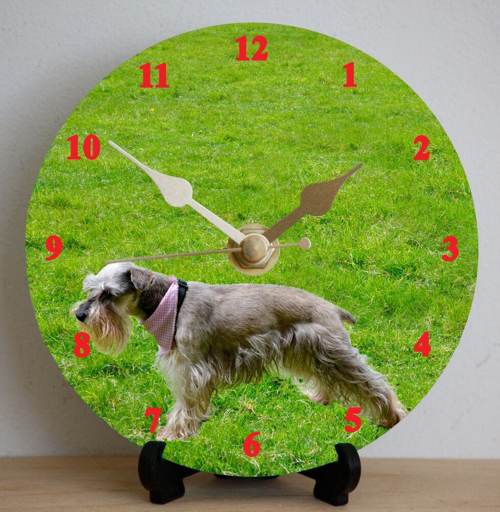 Schnauzer