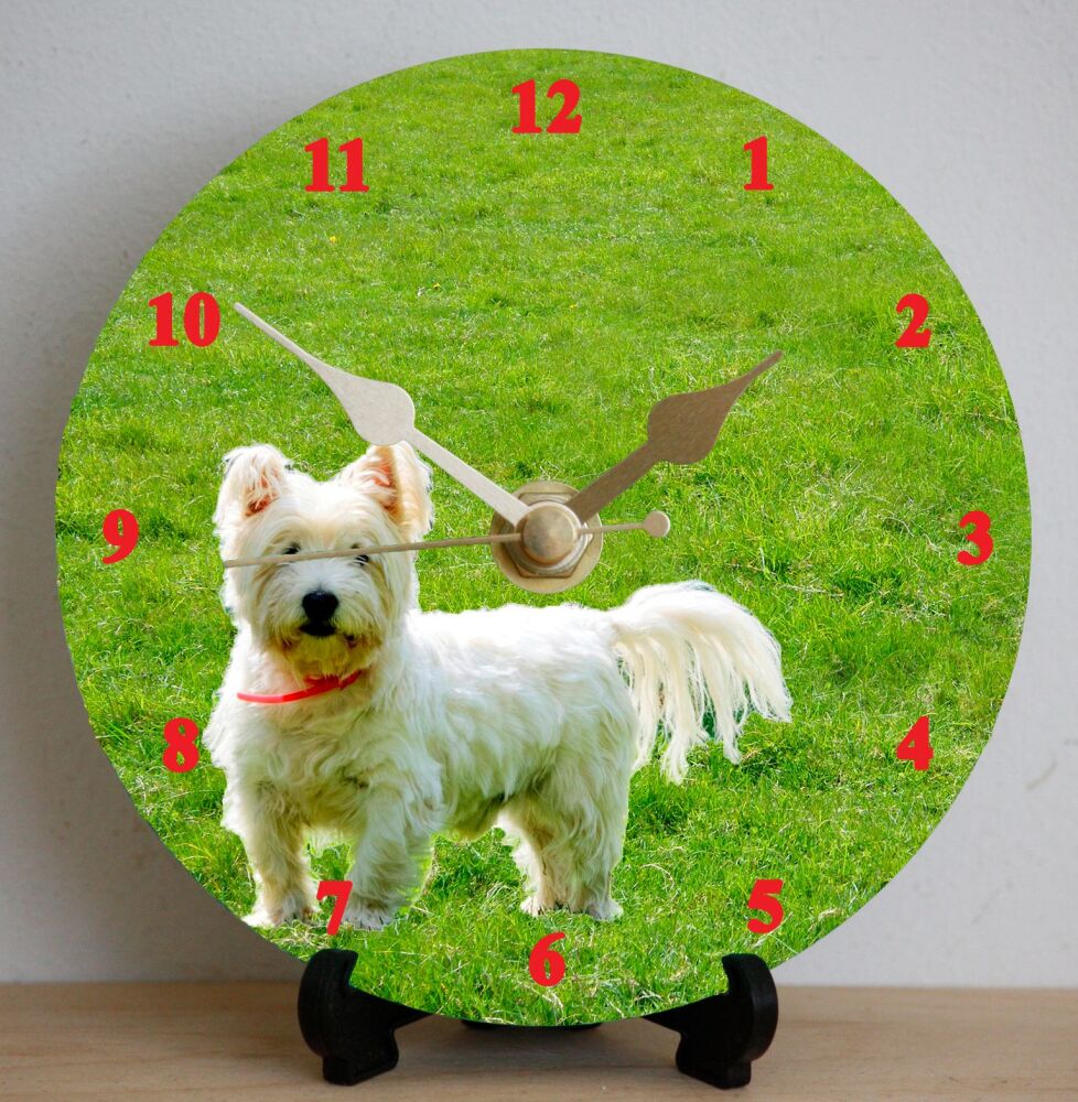 West Highland Terrier