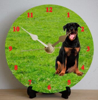 Rottweiller