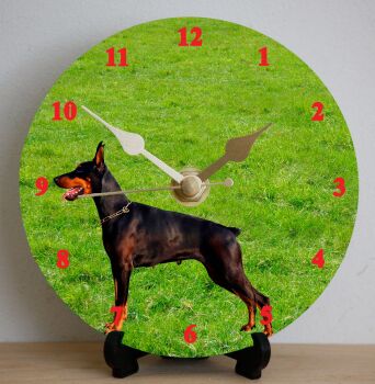 Doberman Pinscher