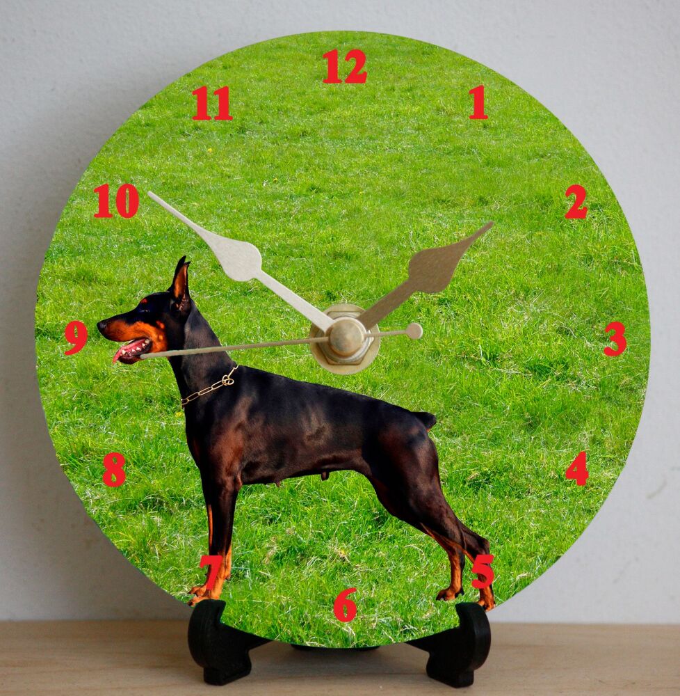 Doberman