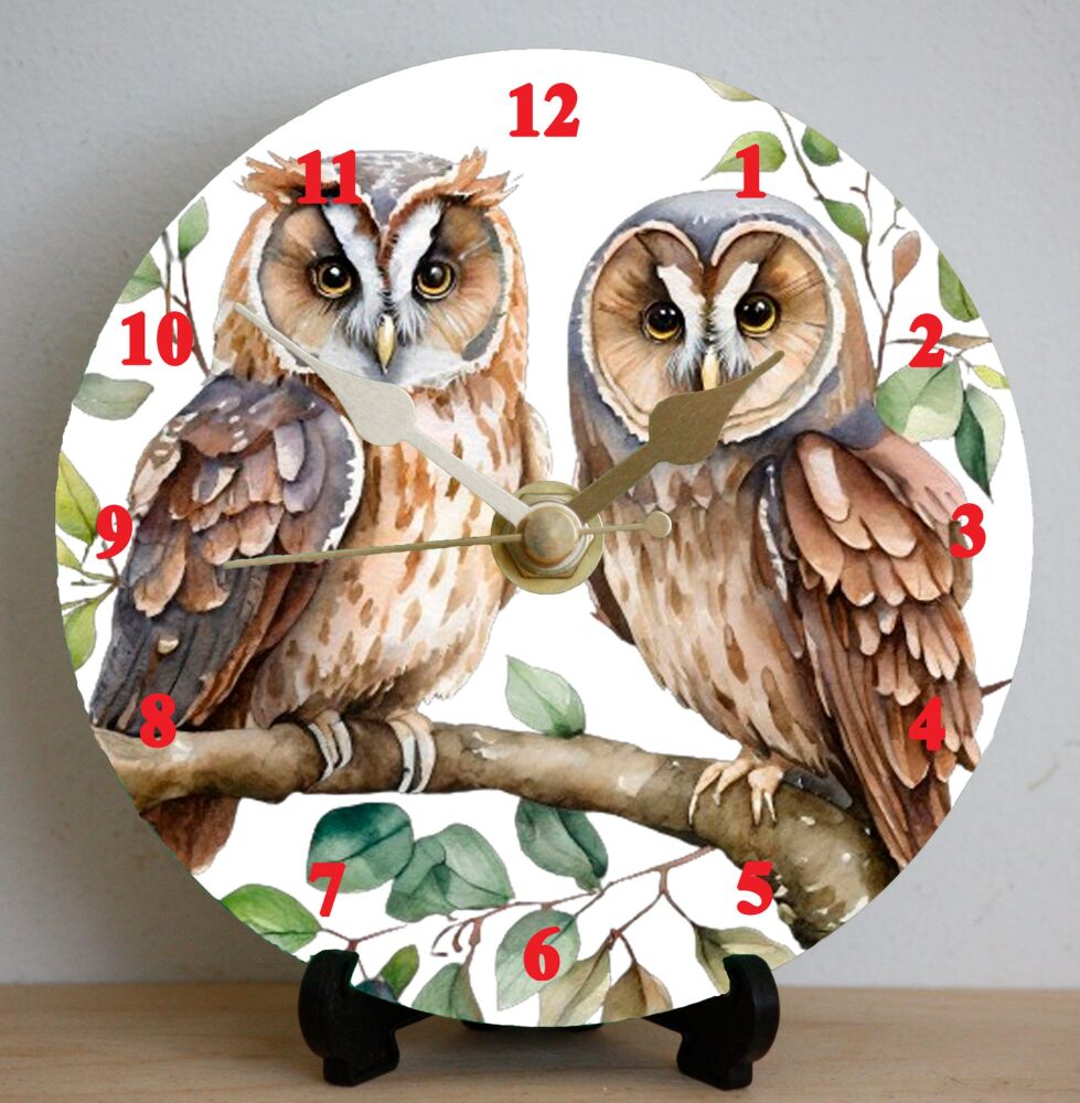 Owl 1