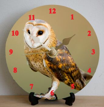 Owl 2