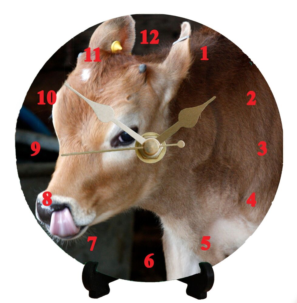 Calf Concentrating