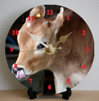 Calf Concentrating