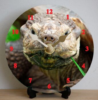 Giant Tortoise