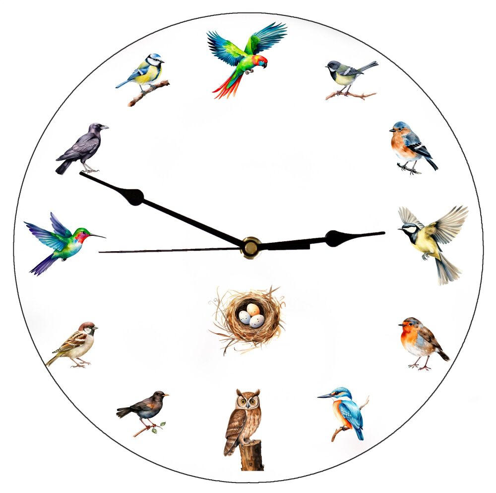 Birds
