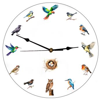 Birds