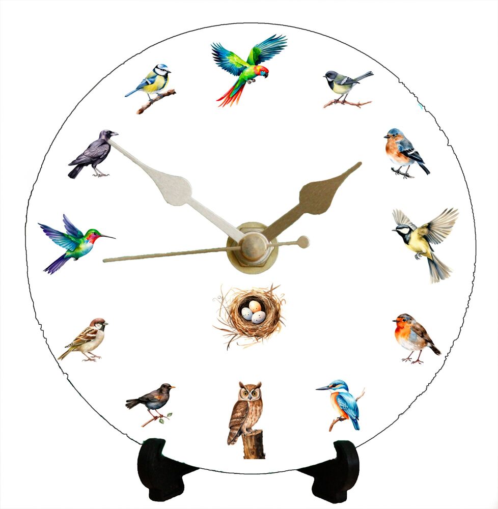 Birds