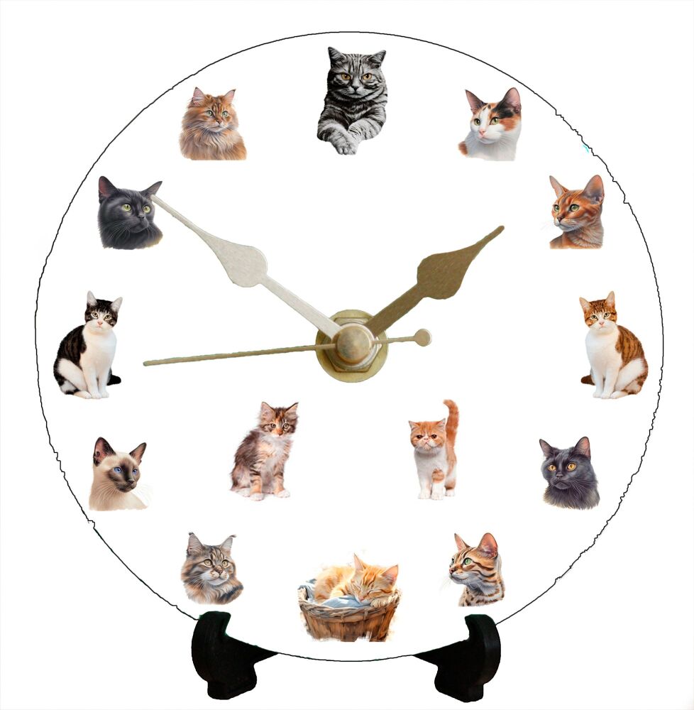 Cats