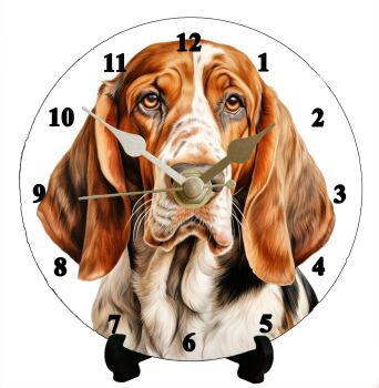 Basset Hound (2)