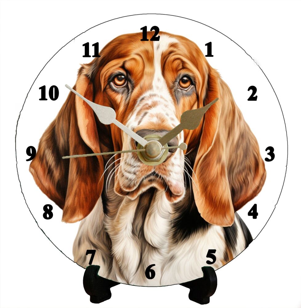Basset Hound (2)
