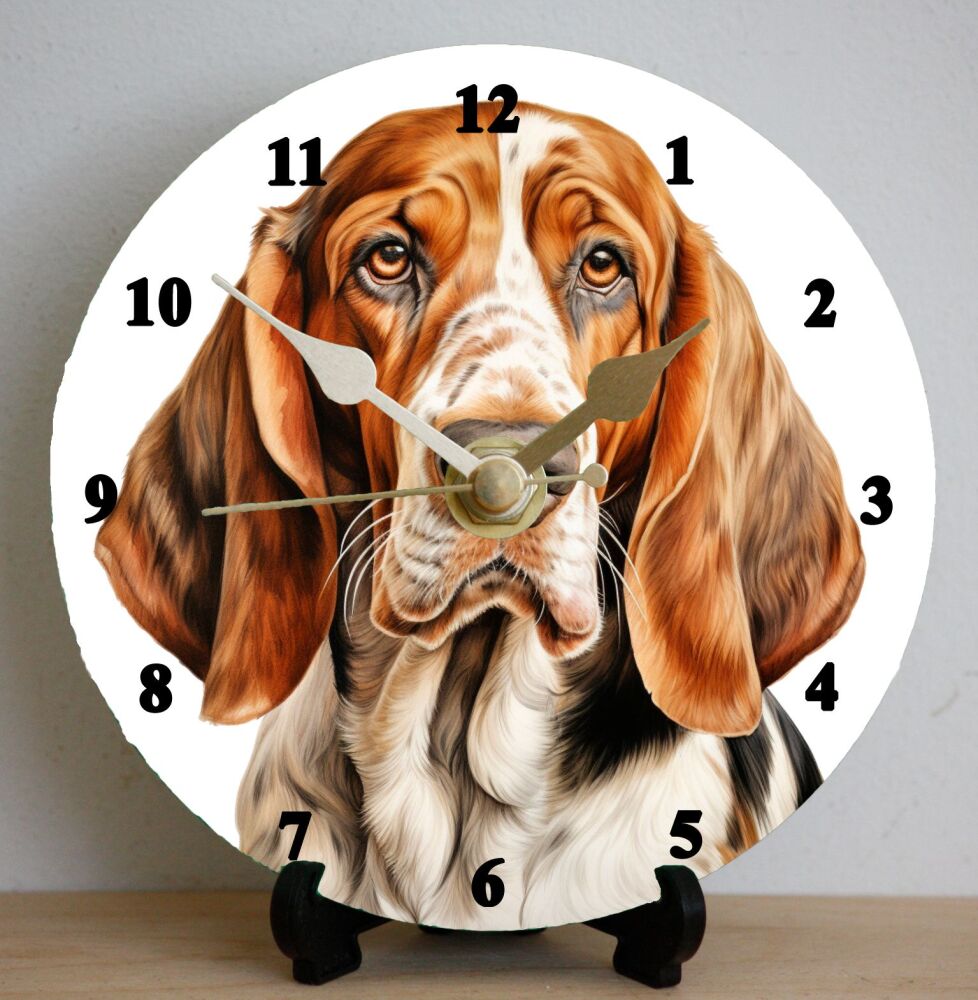 Basset Hound (2)