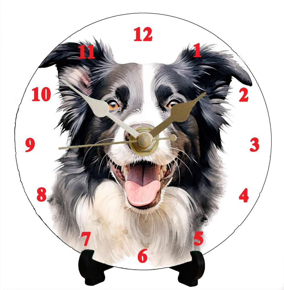 Border Collie (2)