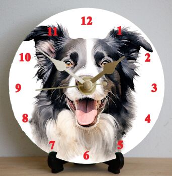 Border Collie (2)